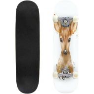 Puiuoo Jack Russell Terrier Watercolor Hand Drawn Portrait Cool Skateboard for Girls Boys Teens Beginners Standard Skateboard for Adults Youth Kids Maple Complete Skateboard Outdoor 31x8