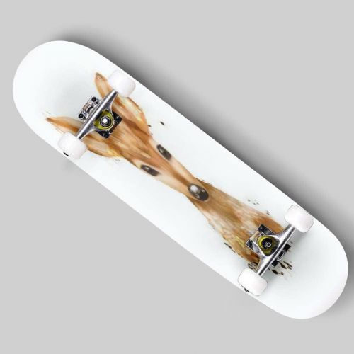  Puiuoo Jack Russell Terrier Watercolor Hand Drawn Portrait Cool Skateboard for Girls Boys Teens Beginners Standard Skateboard for Adults Youth Kids Maple Complete Skateboard Outdoor 31x8