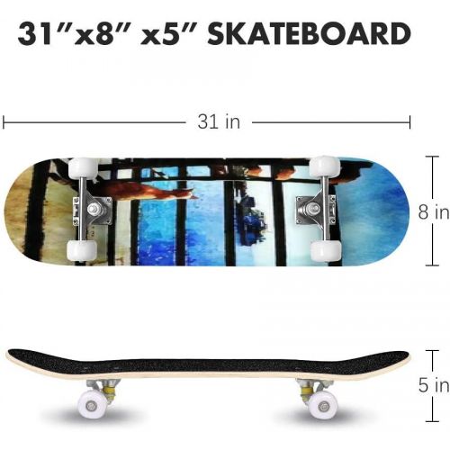  Puiuoo an of The Moon Painting Skateboard for Beginners Teens Boys Girls Cool Stuff Standard Skateboard for Adult Kids Maple Complete Skateboard Outdoor Gifts