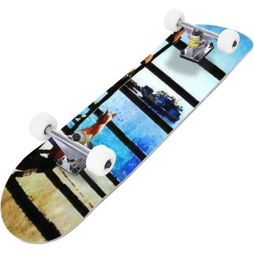  Puiuoo an of The Moon Painting Skateboard for Beginners Teens Boys Girls Cool Stuff Standard Skateboard for Adult Kids Maple Complete Skateboard Outdoor Gifts