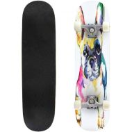 Puiuoo Cute Lion Listening to a Cassette Player Music is Life Slogan Cool Skateboard for Girls Boys Teens Beginners Standard Skateboard for Adults Youth Kids Maple Complete Skateboard Out