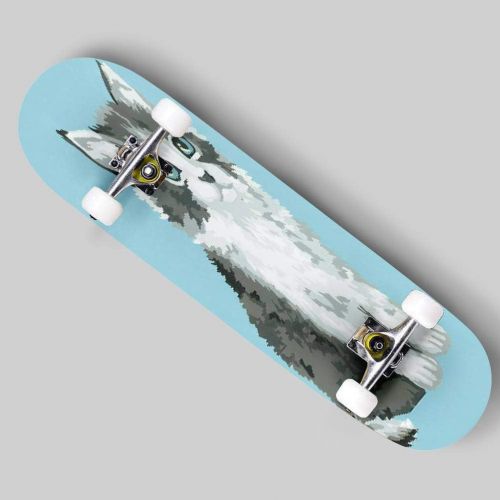  puiuoo Kitten Stock Illustration Skateboard for Beginners Standard Skateboard for Adults Youth Kids Maple Double Kick Concave Boards Complete Skateboard 31x8