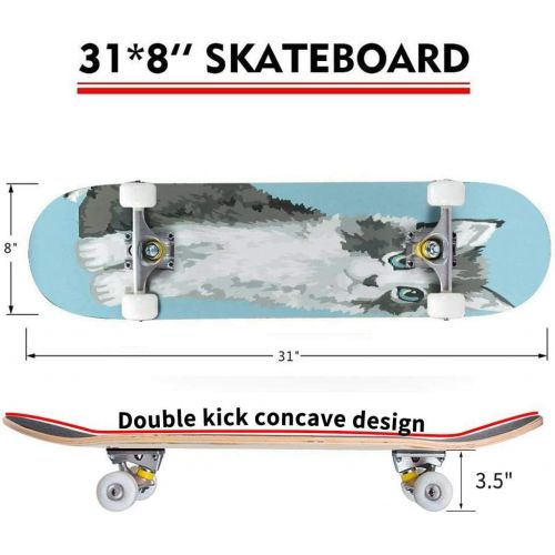  puiuoo Kitten Stock Illustration Skateboard for Beginners Standard Skateboard for Adults Youth Kids Maple Double Kick Concave Boards Complete Skateboard 31x8