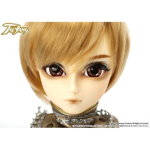 푸리프 Pullip Dolls Taeyang Twilight Destiny 14 Doll