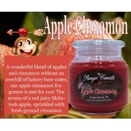 PungoCandleCompany Apple Cinnamon Scented Jar Candle (16 oz.)!Free Shipping