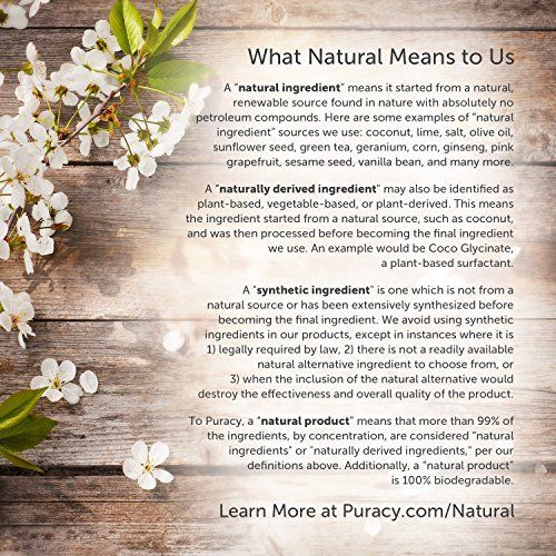  Puracy Natural Carpet Cleaner Detergent, 4X Professional Pet Stain Remover & Deodorizer, 25 Ounce