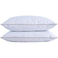 [아마존 핫딜] [아마존핫딜]Puredown puredown Natural Goose Down Feather Pillows for Sleeping Down Pillow 100% Cotton Pillow Cover Downproof (Queen)