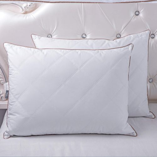  [아마존 핫딜] [아마존핫딜]Puredown puredown Natural Goose Down Feather Pillows for Sleeping Down Pillow 100% Cotton Pillow Cover Downproof (Queen)