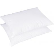 [아마존 핫딜] Puredown puredown Natural Goose Down Pillows 100% Cotton Pillow Cover Set of 2 Bed Pillows for Sleeping, Queen Size