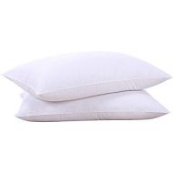 [아마존 핫딜] Puredown puredown Natural Goose Down Feather White Pillow Inserts, 100% Egyptian Cotton Fabric Cover Bed Pillows, Set of 2 King Size