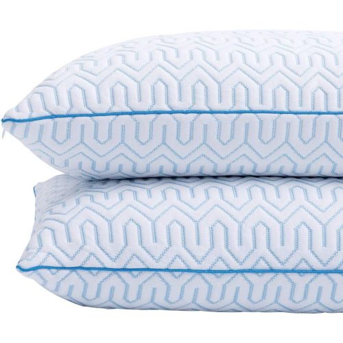  [아마존 핫딜] puredown Natural White Goose Down Feather Cool-Down Pillow with Cooling Ice Silk Cover,Set of 2, Standard