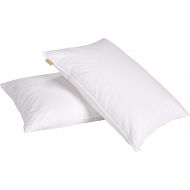 Puredown 75% White Down Pillows 600 Filling Power, Cotton Cover ,2 Set, StandardQueen Size