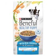 Purina Beneful Healthy Puppy With Real Chicken (Healthy Puppy With Real Chicken, 15.5 lb. - 2 Bag)