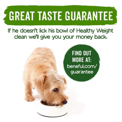  Purina Beneful Healthy Weight with Real Chicken Adult Dry Dog Food