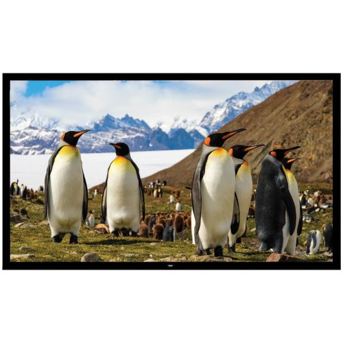  Pyle 110 Matt White Home Theater TV Wall Mounted Fixed Flat Projector Screen - 110 inch 16:9 Full HD Projection - Easy to Set Up for Room Video, Slideshow, Movie  Film Showing