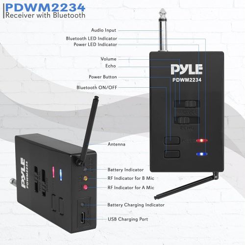  Portable Dual Wireless Microphone System Rechargeable Battery, Easy Carry Mic & Receiver Set - Included 2 Handheld Transmitter, 1 Receiver, ¼ Plug for PA Karaoke - Pyle PDWM2234 (B