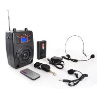 Pyle Portable PA System, Wireless Microphone Kit, Compact Stereo System, FM Radio, LCD Display, USB, Rechargeable Battery, Includes Lavalier Microphone Headset, Outdoor Surround So