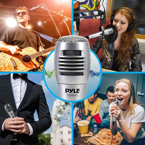  [아마존베스트]Pyle Wired Dynamic Microphone-Professional Moving Coil Unidirectional Handheld Mic with Built-in Acoustic Pop Filter, XLR Connector, Silver, Apple (PDMIK1)