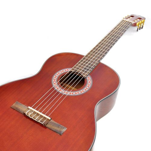  Pyle 6 String, Left (PGA32RBR)