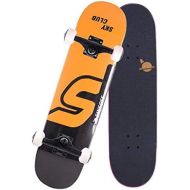 QYSZYG Anfanger-Roller-Skateboard-Doppel-Oberes Jungenmadchenbrettauto-Mehrfachartwahl Skateboard (Farbe : B)