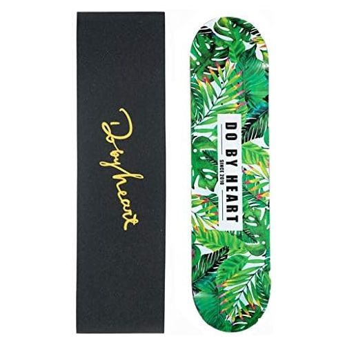  QYSZYG Skateboard/Anfanger Doppel Skateboard/Professionelles Skateboard/Lagerhaltbarkeit Skateboard (Color : B)