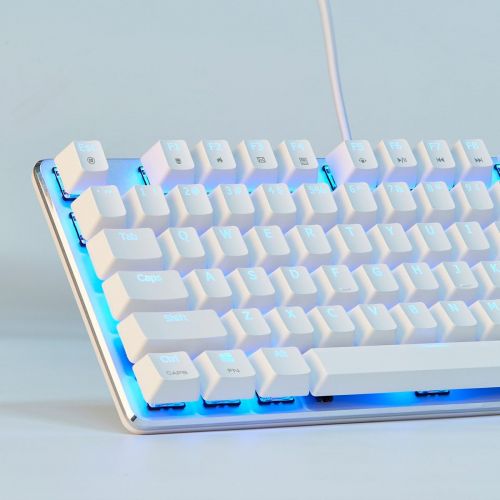  Mechanical Keyboard Gaming Keyboard GATERON Blue Switch Wired Backlit Mechanical Mini Design (60%) 68 Keys Keyboard White Silver Magicforce by Qisan