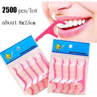 Qmsellz Floss Toothpick - 2500 Pcs Lot Wholesale Interdental Brush Teeth Stick Tooth Picks Dental Floss Oral Hygiene Clean - Phillips Titanium Toilet Heads Groom Rollers Dollars Vacuum Sup