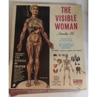 QuantitiesofQuaint Vintage Renwal Visible Woman with Miracle of Creation and Organs but No Skeleton -- 1960 Anatomical Model, Science Fair, Art Assemblage