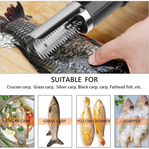  Electric Fish Scaler, Quebuygo Hand-held Cordless Powerful Electric Fish Scraper with Extra Stainless Cutter Head, Electric Descaler Fish Cleaner Tool Waterproof Design for Fish Ma