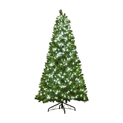  Queens of Christmas WL-TRBM-12-LPW Pre-Lit UV Mixed Blended Pine Tree 3, 567 Tips Lit with 1300 Pure White LED, 12