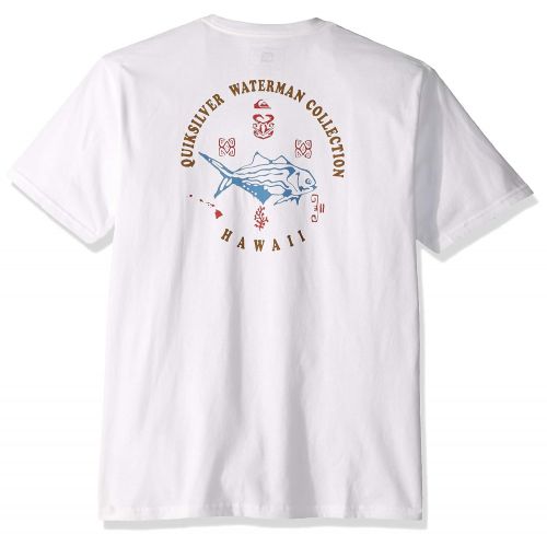 퀵실버 Quiksilver Mens Aquation Hawaii Tee Shirt