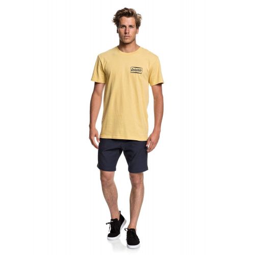 퀵실버 Quiksilver Mens Ay Tee