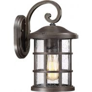 Quoizel Wall CSE8408PN One Light Outdoor Lantern, Medium, Palladian Bronze