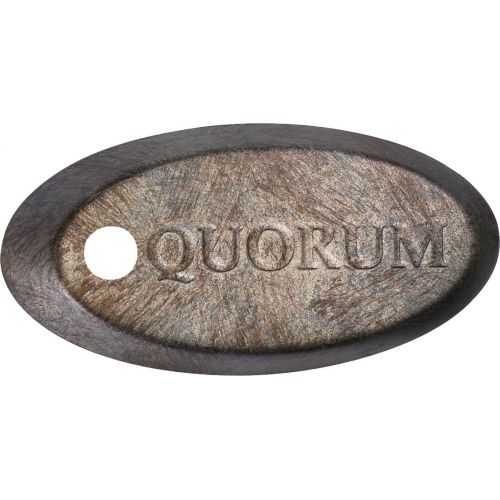  Quorum 38605-58, Kingsley Mystic Silver 60 Ceiling Fan