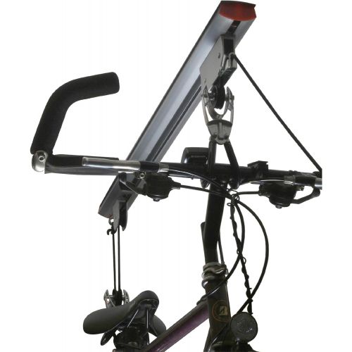  RAD Cycle products Rail Mount Bike and Ladder Lift for Your Garage or Workshop Holds up to 75 Pounds No Mounting Board Needed