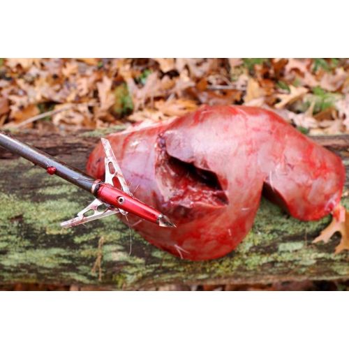  Rage Bowhunting Xtreme Series Mechanical Broadheads, 2 Blade, 100 Grain 2.3 Inch Cutting Diameter, 3 Pack