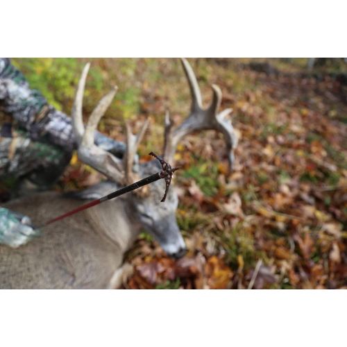  RAGE Hypodermic NC 2-Blade 100gr Hunting Broadhead (R38100), Hybrid Tip, No Collar Blade Lock.035” Thick Swept-Back Angled Blades with a 2” Cutting Diameter, Machined Stainless Ste