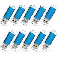 RAOYI 10 Pack 2G 2GB USB Flash Drive USB 2.0 Memory Stick Thumb Drive Pen Drive Blue