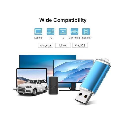  RAOYI 10 Pack 1GB 1G USB Flash Drive USB 2.0 Memory Stick Bulk Thumb Drive Pen Drive Blue