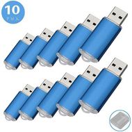 [아마존 핫딜]  [아마존핫딜]RAOYI 10Pack 2G 2GB USB Flash Drive USB 2.0 Memory Stick Thumb Drive Pen Drive Blue