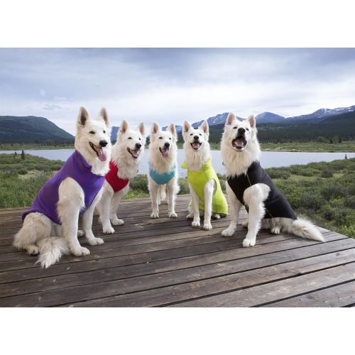  RC Pet Products Baseline Dog Fleece, Dog Coat