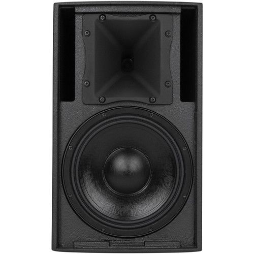  RCF C3110-96 Two-Way Passive Speaker System (Black)