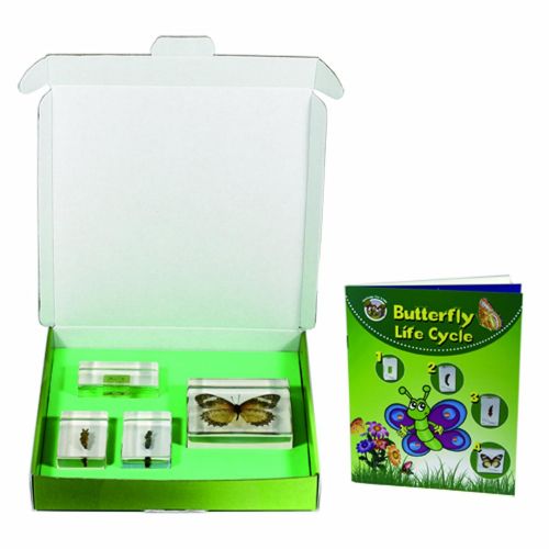  REALBUG Butterfly Lifecycle 4pc Set