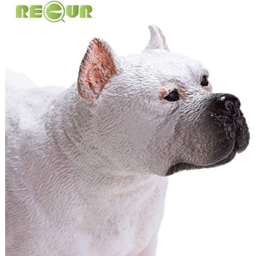  RECUR Toys 8.7inch Dogo Argentino Figure Toys, Soft Hand-Painted Skin Texture Pet Dog Toys for Kids- 1:5 Scale Realistic Design Dogo Replica, Ideal for Dog Lover Collectors Present