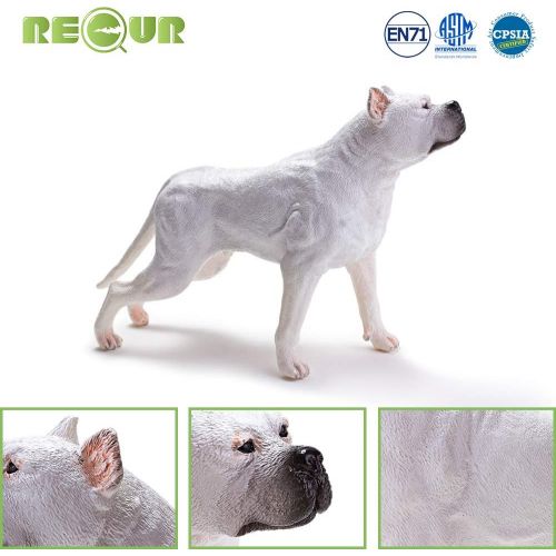  RECUR Toys 8.7inch Dogo Argentino Figure Toys, Soft Hand-Painted Skin Texture Pet Dog Toys for Kids- 1:5 Scale Realistic Design Dogo Replica, Ideal for Dog Lover Collectors Present