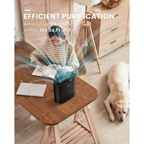  RENPHO Air Purifier for Home Bedroom Pets Hair, True HEPA Air Filter cleaner, Eliminate Dander Smoke Pollen Dust Airborne with 3-Stage Filtration System, Desktop, Table Top, Small