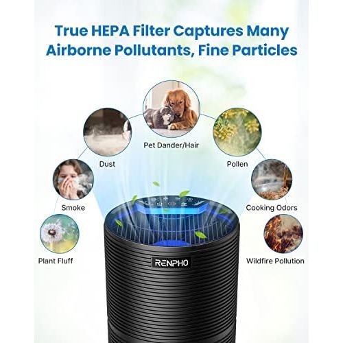  [아마존베스트]RENPHO Air Purifier for Home Allergies and Pets Hair, Large Room 240 SQ.FT, True HEPA Filter, Quiet Air Cleaner Odor Eliminators in Bedroom for Mold Bacteria, Smoke, Germ, Dust and