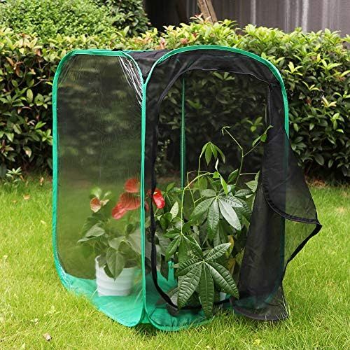  [아마존베스트]RESTCLOUD 36 Large Monarch Butterfly Habitat, Giant Collapsible Insect Mesh Cage Terrarium Pop-up 24 x 24 x 36 Inches