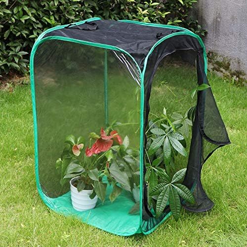  [아마존베스트]RESTCLOUD 36 Large Monarch Butterfly Habitat, Giant Collapsible Insect Mesh Cage Terrarium Pop-up 24 x 24 x 36 Inches