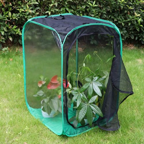  [아마존베스트]RESTCLOUD 36 Large Monarch Butterfly Habitat, Giant Collapsible Insect Mesh Cage Terrarium Pop-up 24 x 24 x 36 Inches